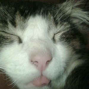 Meet your Posher, Melicia